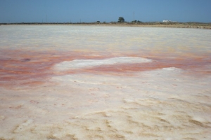 Salinas el Estanquillo